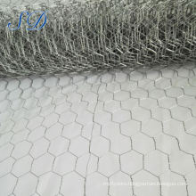 China Hot Sale Tree Guard Anping Galvanize Hexagonal Wire Mesh